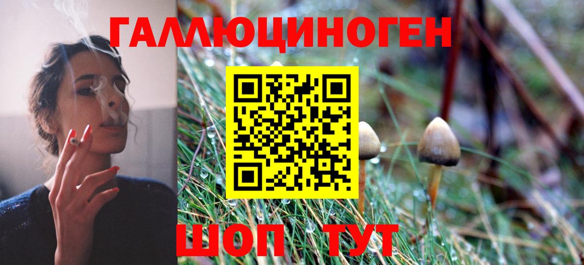 Псилоцибиновые грибы GOLDEN TEACHER  Вход с VPN  Котлас 
